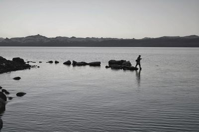 View of horse in lake against clear sky