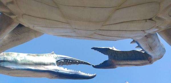 Low angle view of seagull flying against sky