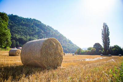 Hay bales on field against sky