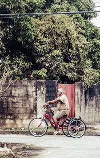 Bicycles parked against tree