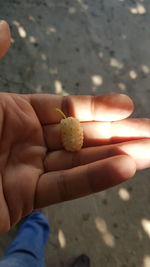 Close-up of person holding hand