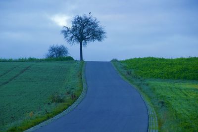 Scenic view of land against sky