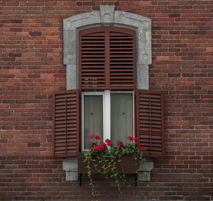 Potted plants against brick wall of building