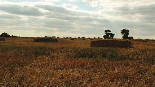 Hay bales on field against sky