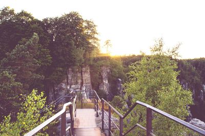 Scenic view of trees by railing