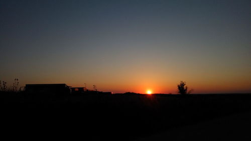 Silhouette of trees at sunset