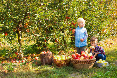 Full length of father and daughter in basket by plants