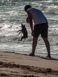 Rear view of people with dog on beach
