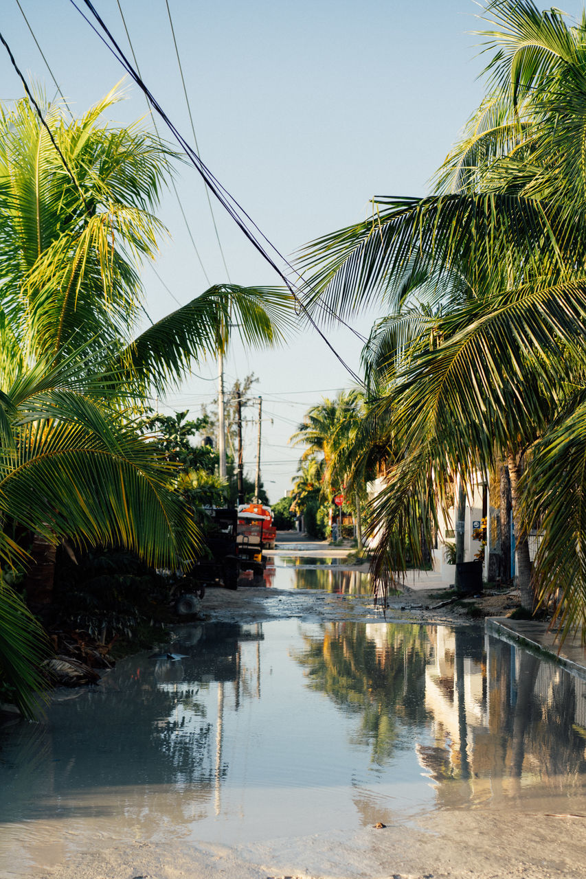 palm tree, tropical climate, water, tree, nature, plant, sky, vacation, tropics, reflection, coconut palm tree, beauty in nature, architecture, day, travel destinations, travel, transportation, outdoors, tropical tree, no people, tranquility, land, sea, beach, resort, environment, built structure, trip, holiday, clear sky, scenics - nature, sunlight, mode of transportation, nautical vessel, building, building exterior, tourism