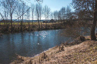 Scenic view of lake in forest against sky