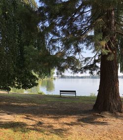 Empty bench in park