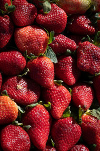 Full frame shot of strawberries