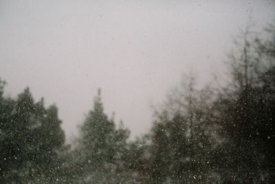 Close-up of wet landscape during rainy season