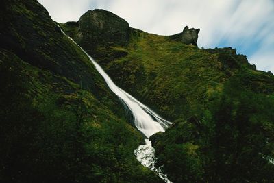 Scenic view of waterfall