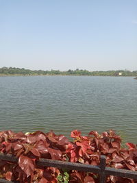 Scenic view of lake against clear sky