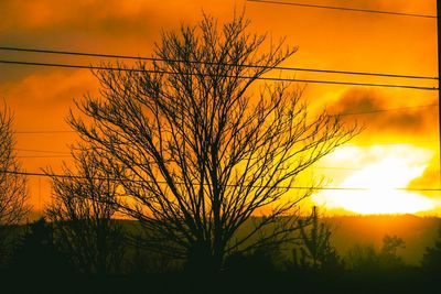 Silhouette tree against dramatic sky during sunset