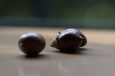 Close-up of acorns on table