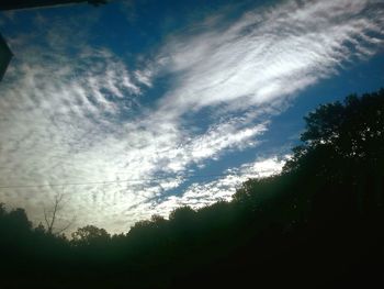 Low angle view of trees against cloudy sky