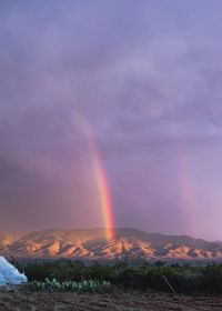 Rainbow over field against sky