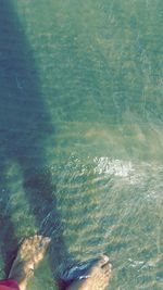 Trees in water