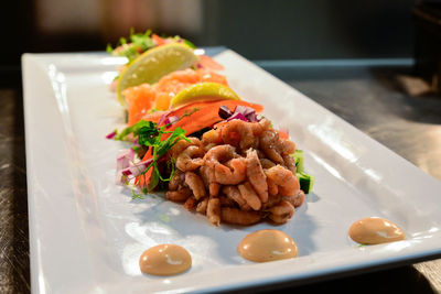 Close-up of food served in plate