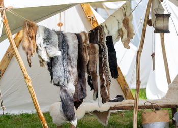 Furs on a medieval market spectacle