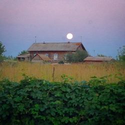 Houses against sky