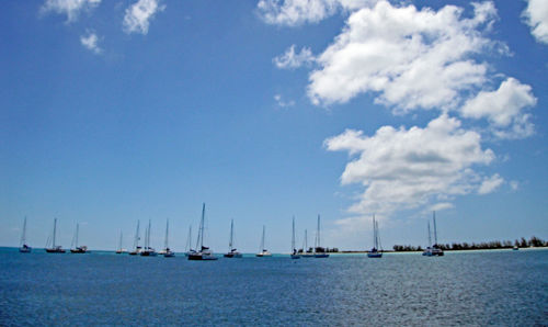 Sailboats sailing in sea against sky