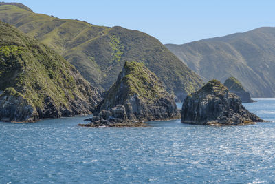 Coastal impression at queen charlotte sound in new zealand