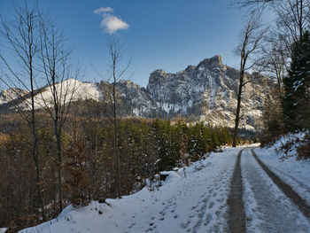 Road amidst trees against sky during winter