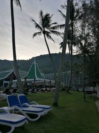 View of trees at sunset