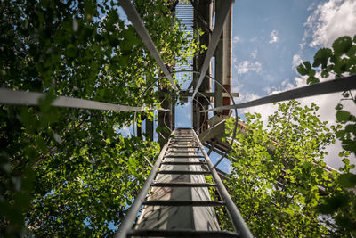 Low angle view of ladder by trees against sky