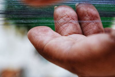 Close-up of hand holding leaf