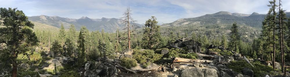 Panoramic view of trees and mountains against sky