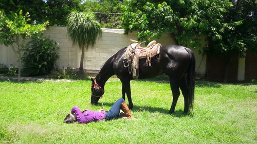 Side view of woman lying by horse grazing on grassy field