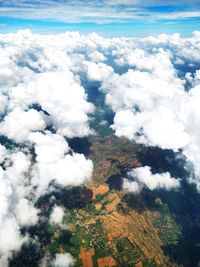 High angle view of trees on land against sky