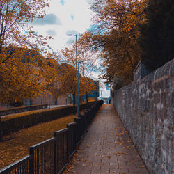 Footpath amidst trees against sky during autumn