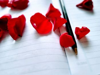 High angle view of red roses on table