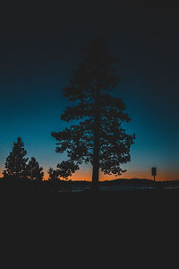 Silhouette trees on field against clear sky at night