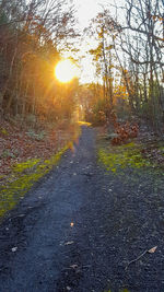 Road amidst trees during sunset