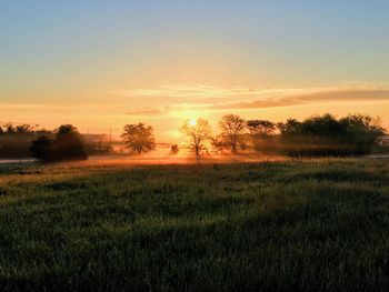 Scenic view of field against sky during sunset