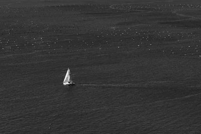 High angle view of sailboat on sea