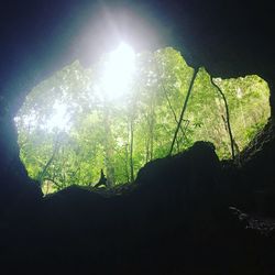 Low angle view of silhouette trees against sky