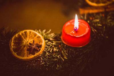 Close-up of illuminated christmas decoration