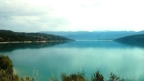 Reflection of trees in calm lake