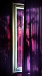 Close-up of purple window