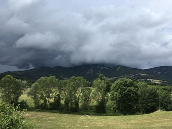 Scenic view of landscape against sky