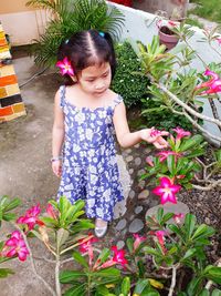 High angle view of smiling girl standing in yard