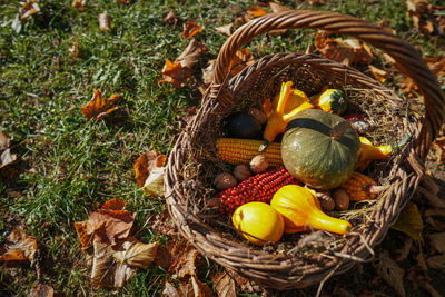 High angle view of pumpkins in basket on field