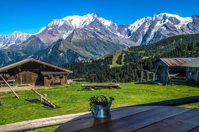 Flowers in kettle on table against mountains